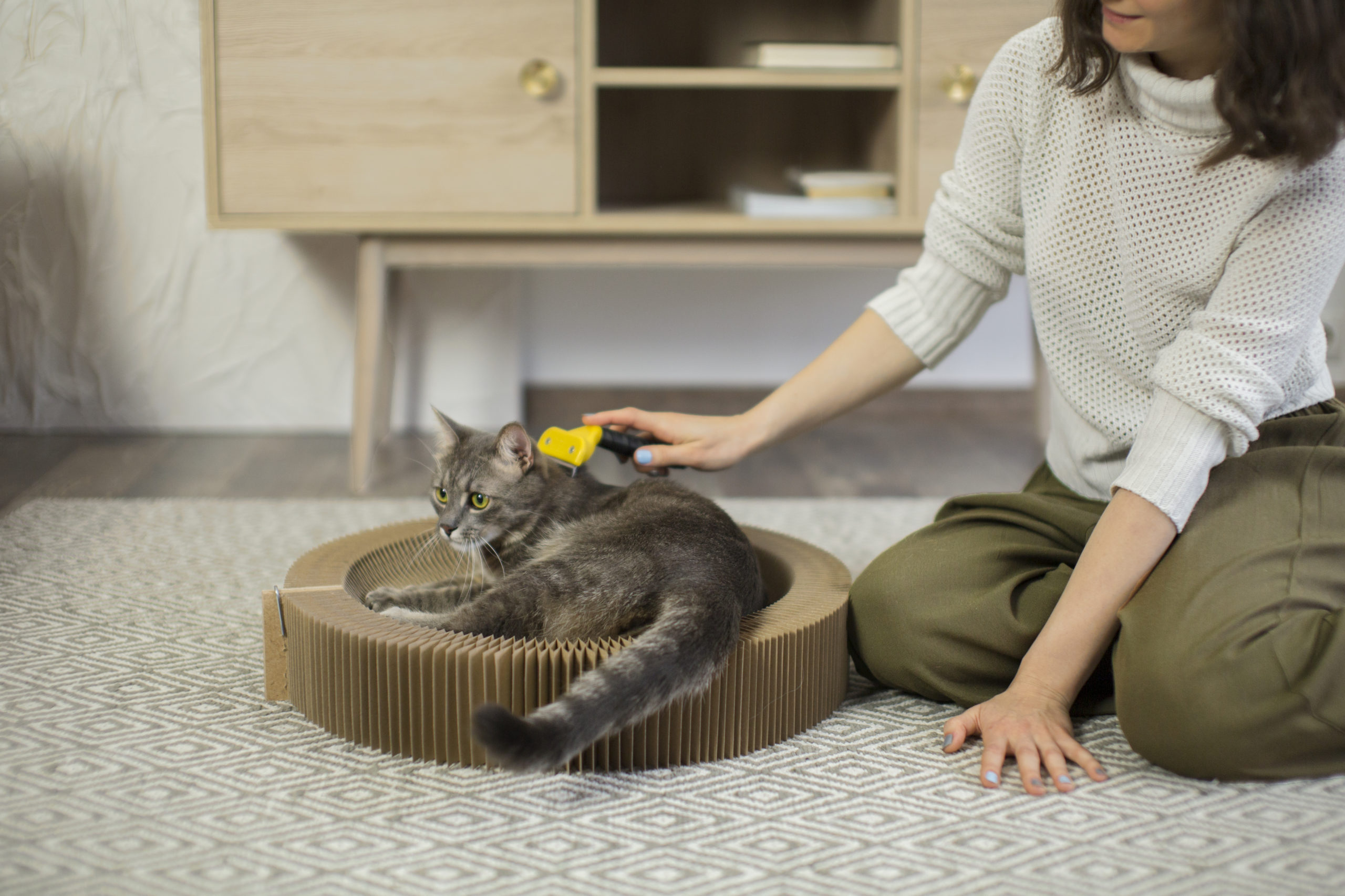 Breathe Easy How To Get Rid Of Cat Odor In Your House Without Harming 