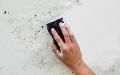 Expert Tips on How to Get Rid of Mold in Your House: Say Goodbye to the Pesky Fungi Once and for All